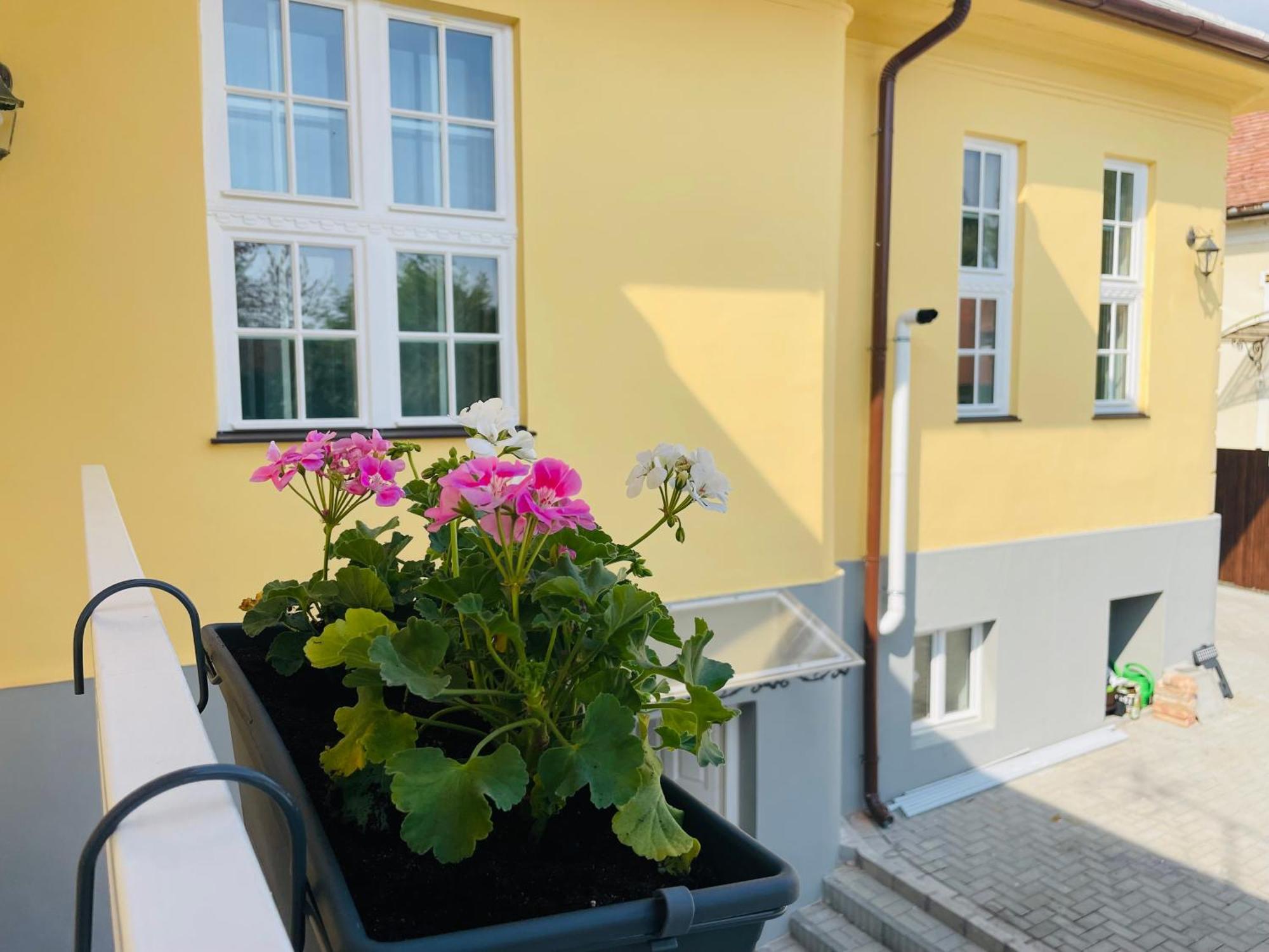 Villabaroque_Eger Bagian luar foto